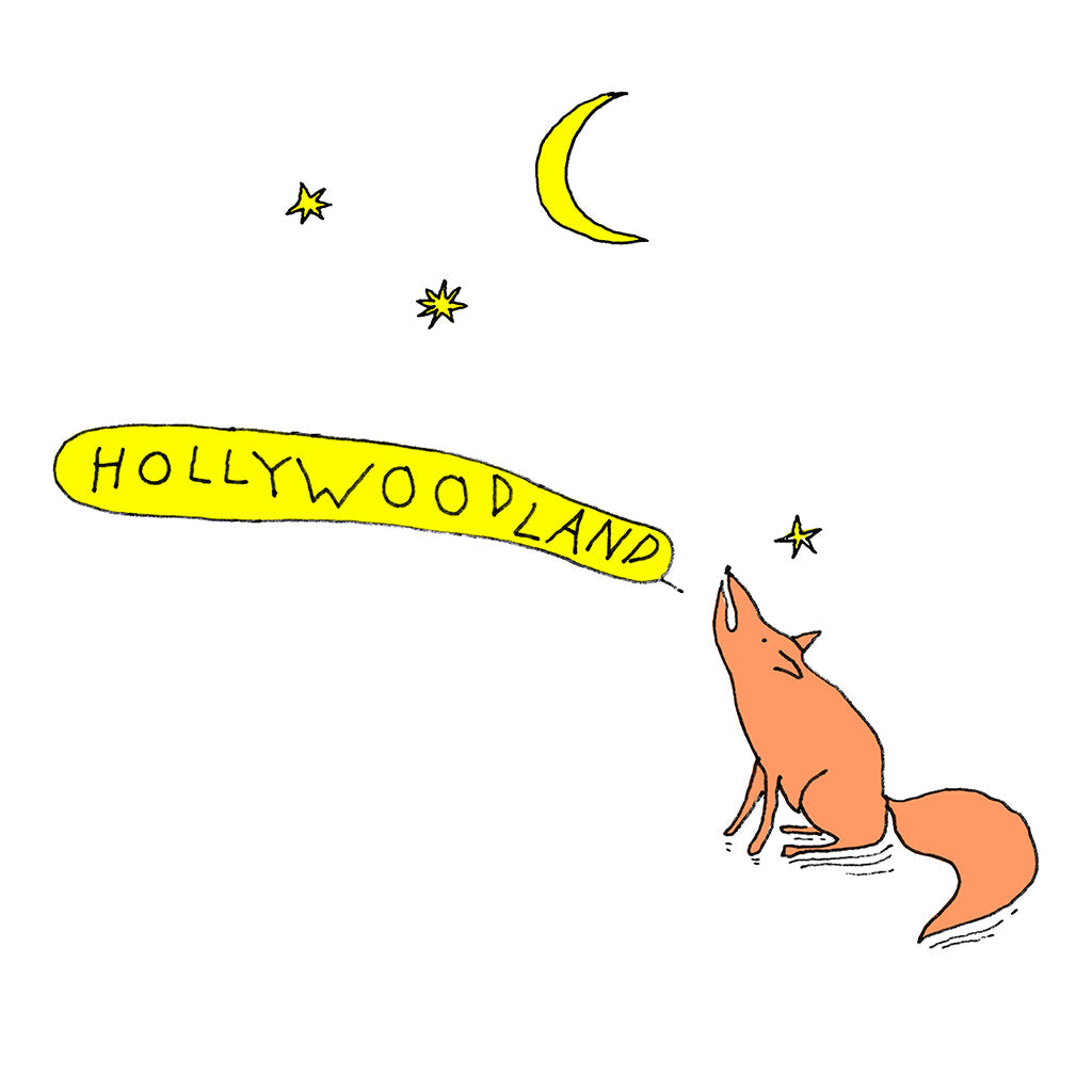 The Hollywood Land Coyote