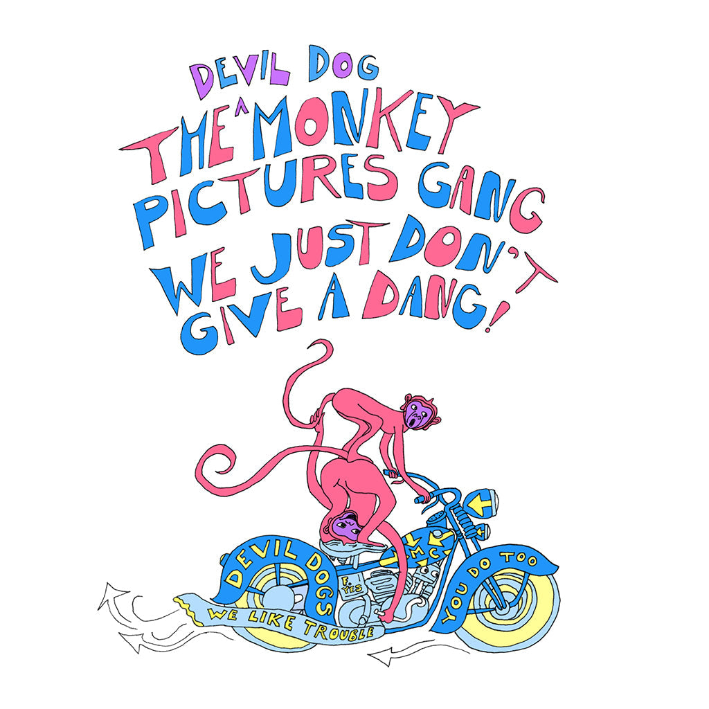 The Monkey Pictures Gang